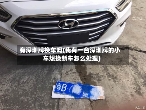 有深圳牌换车吗(我有一台深圳牌的小车想换新车怎么处理)