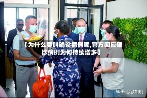 【为什么要叫确诊病例呢,官方回应确诊病例为何持续增多】-第3张图片