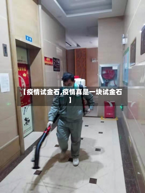 【疫情试金石,疫情真是一块试金石】