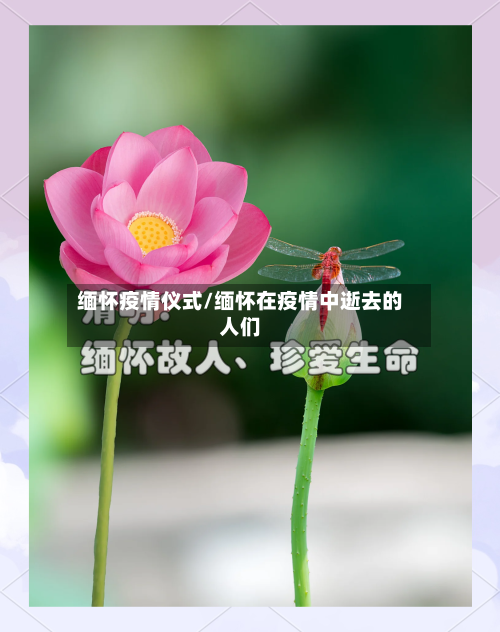 缅怀疫情仪式/缅怀在疫情中逝去的人们
