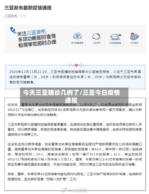今天三亚确诊几例了/三亚今日疫情通报-第3张图片