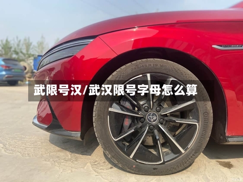 武限号汉/武汉限号字母怎么算