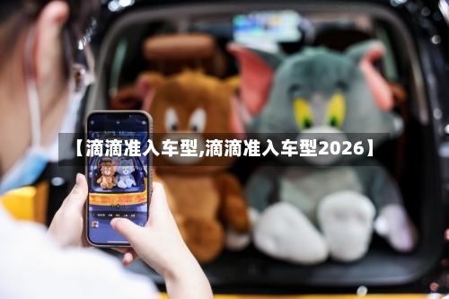 【滴滴准入车型,滴滴准入车型2026】-第2张图片
