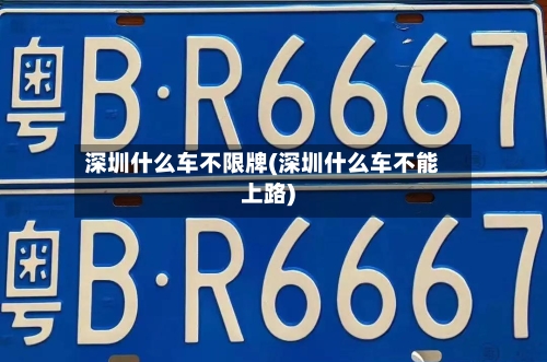 深圳什么车不限牌(深圳什么车不能上路)-第2张图片