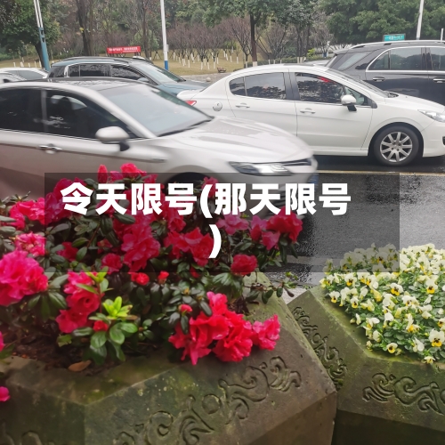 令天限号(那天限号)