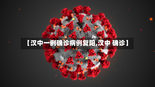 【汉中一例确诊病例复阳,汉中 确诊】-第2张图片