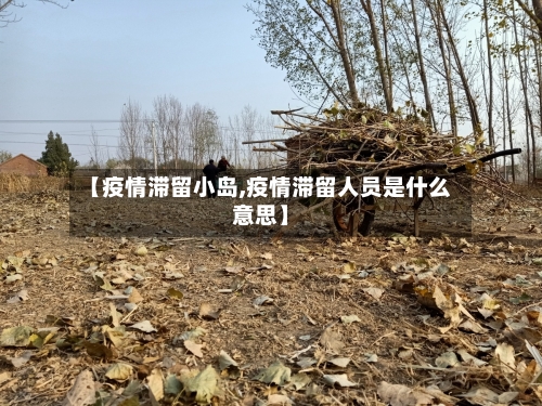 【疫情滞留小岛,疫情滞留人员是什么意思】-第2张图片