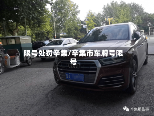 限号处罚辛集/辛集市车牌号限号