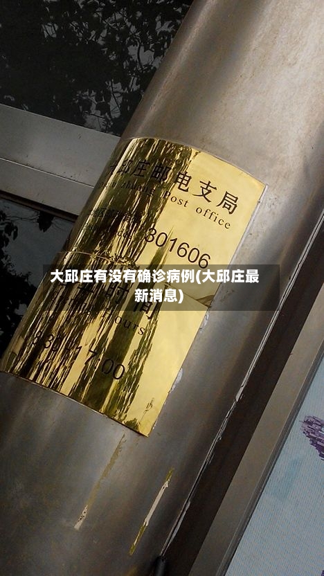 大邱庄有没有确诊病例(大邱庄最新消息)-第2张图片