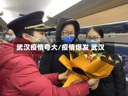 武汉疫情夸大/疫情爆发 武汉-第2张图片