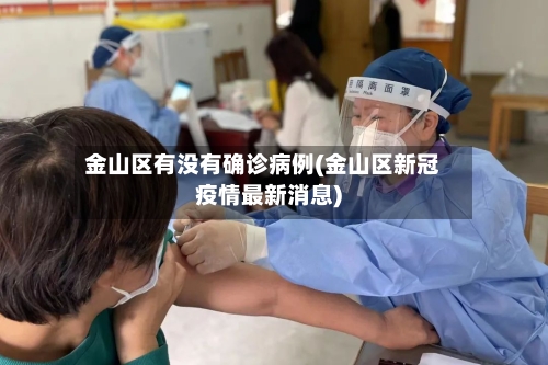 金山区有没有确诊病例(金山区新冠疫情最新消息)-第2张图片