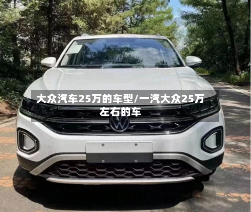 大众汽车25万的车型/一汽大众25万左右的车-第2张图片