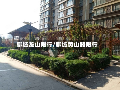聊城龙山限行/聊城黄山路限行