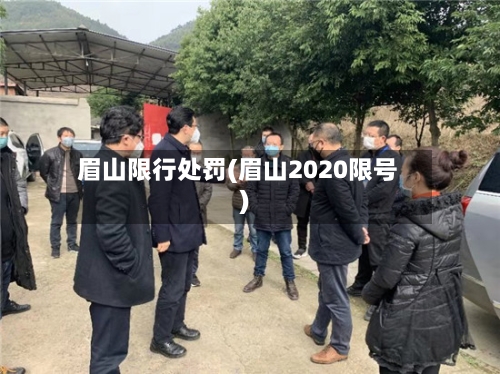 眉山限行处罚(眉山2020限号)