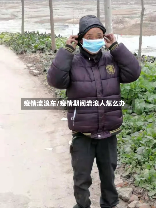 疫情流浪车/疫情期间流浪人怎么办