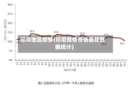 印尼地区疫情(印尼疫情各省最新数据统计)-第2张图片