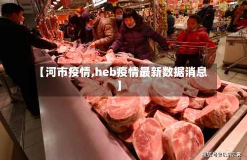 【河市疫情,heb疫情最新数据消息】-第3张图片