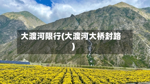 大渡河限行(大渡河大桥封路)