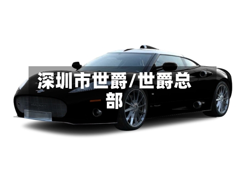 深圳市世爵/世爵总部