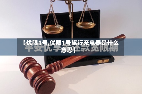 【优限1号,优限1号旅行充电器是什么意思】