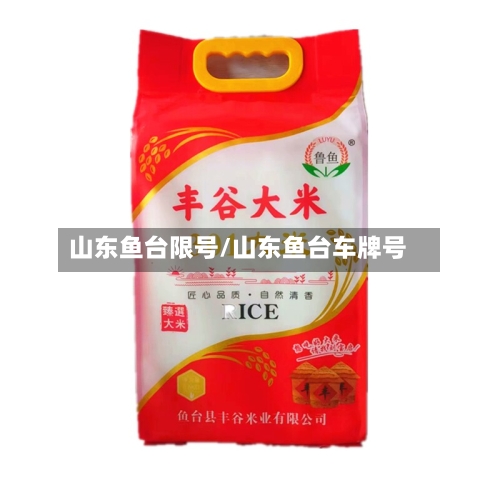 山东鱼台限号/山东鱼台车牌号
