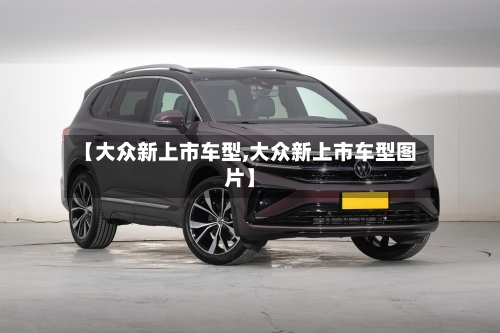 【大众新上市车型,大众新上市车型图片】-第2张图片