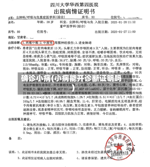 确诊小病(小病能开诊断证明吗)
