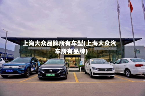 上海大众品牌所有车型(上海大众汽车所有品牌)
