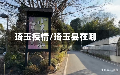 琦玉疫情/琦玉县在哪-第2张图片