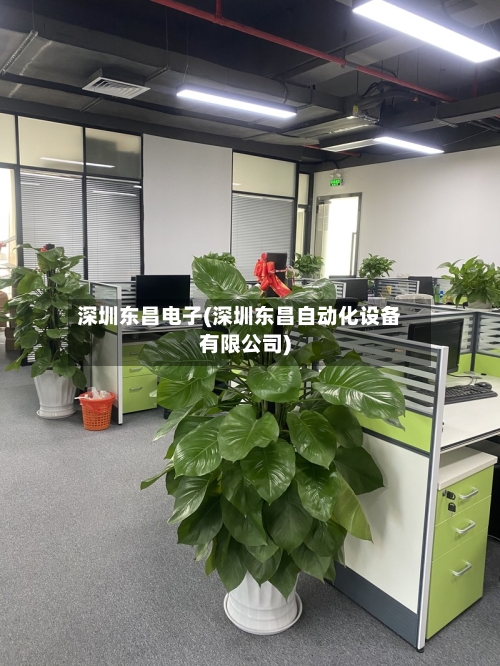深圳东昌电子(深圳东昌自动化设备有限公司)