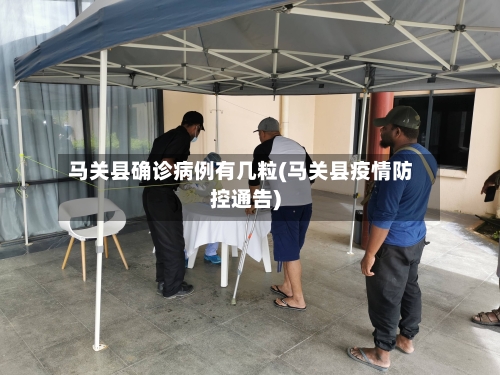马关县确诊病例有几粒(马关县疫情防控通告)-第2张图片