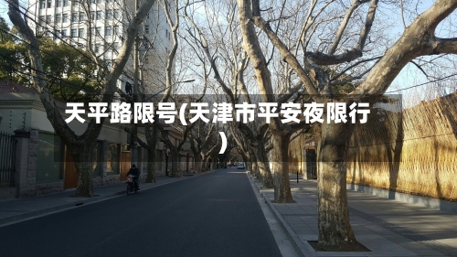 天平路限号(天津市平安夜限行)