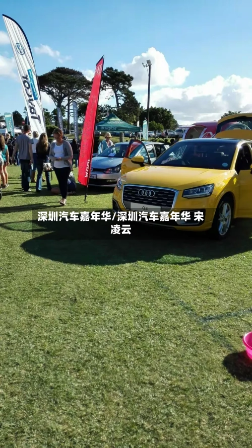 深圳汽车嘉年华/深圳汽车嘉年华 宋凌云