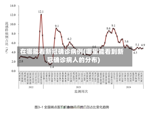 在哪能看新冠确诊病例(哪里能看到新冠确诊病人的分布)-第2张图片