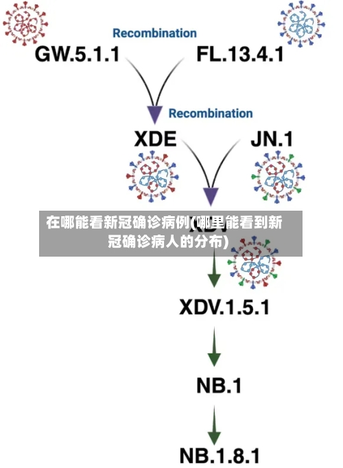 在哪能看新冠确诊病例(哪里能看到新冠确诊病人的分布)