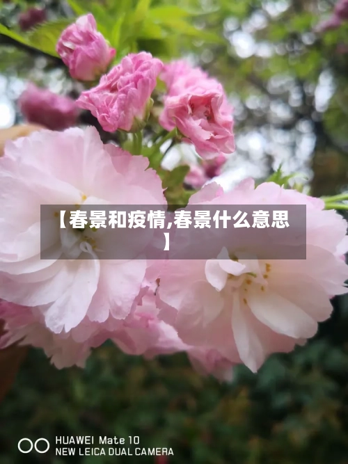 【春景和疫情,春景什么意思】