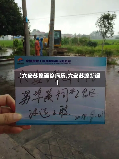 【六安苏埠确诊病历,六安苏埠新闻】